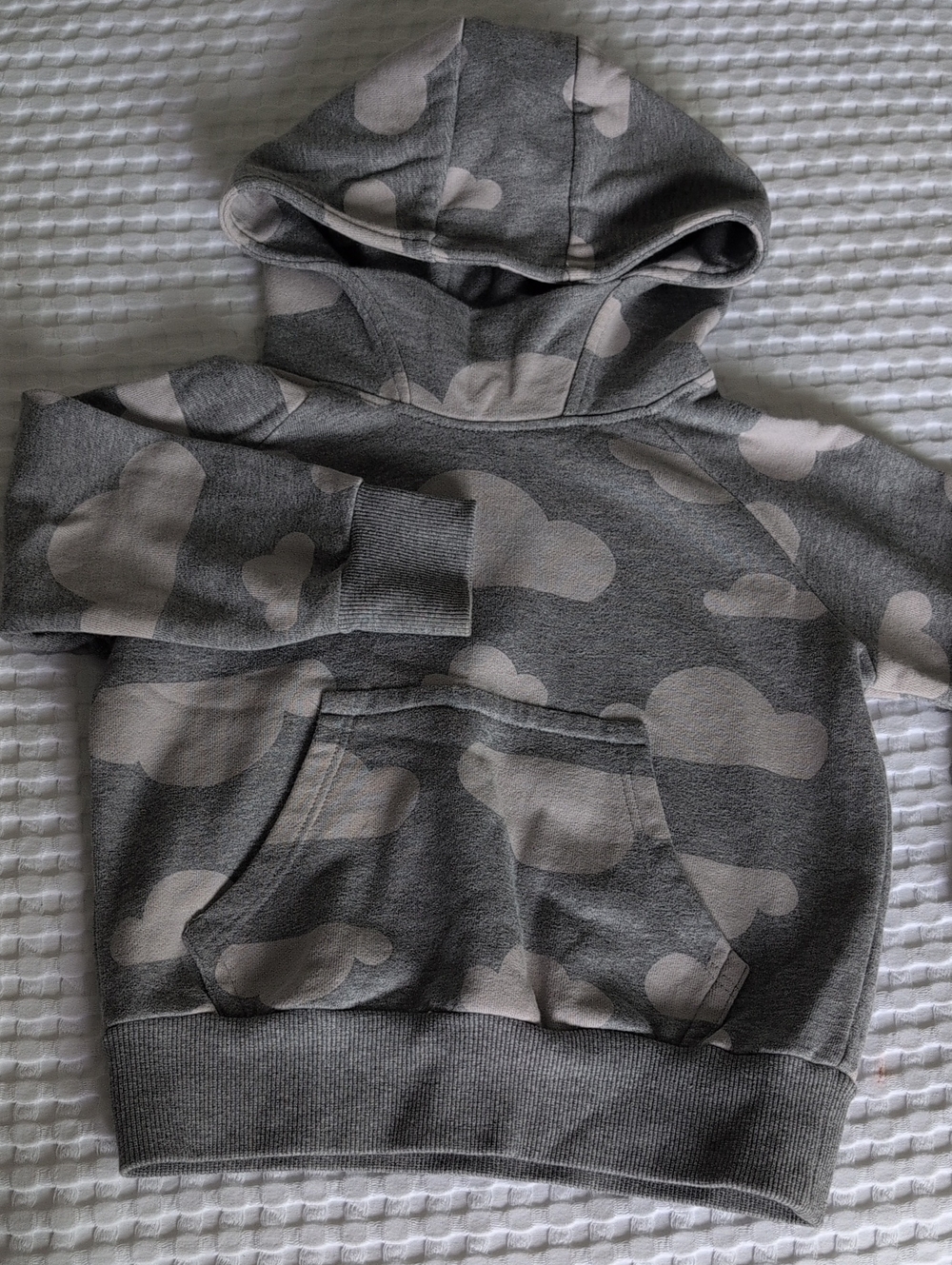 Petite Revert Cotton Cloud Hoodie